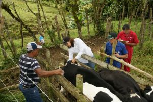 Finca-Paul-Goroy-Cotito-Boor-Volcan-2