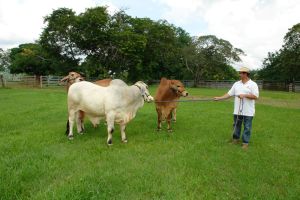 hacienda-las-corinas-las-ollas-arriba3